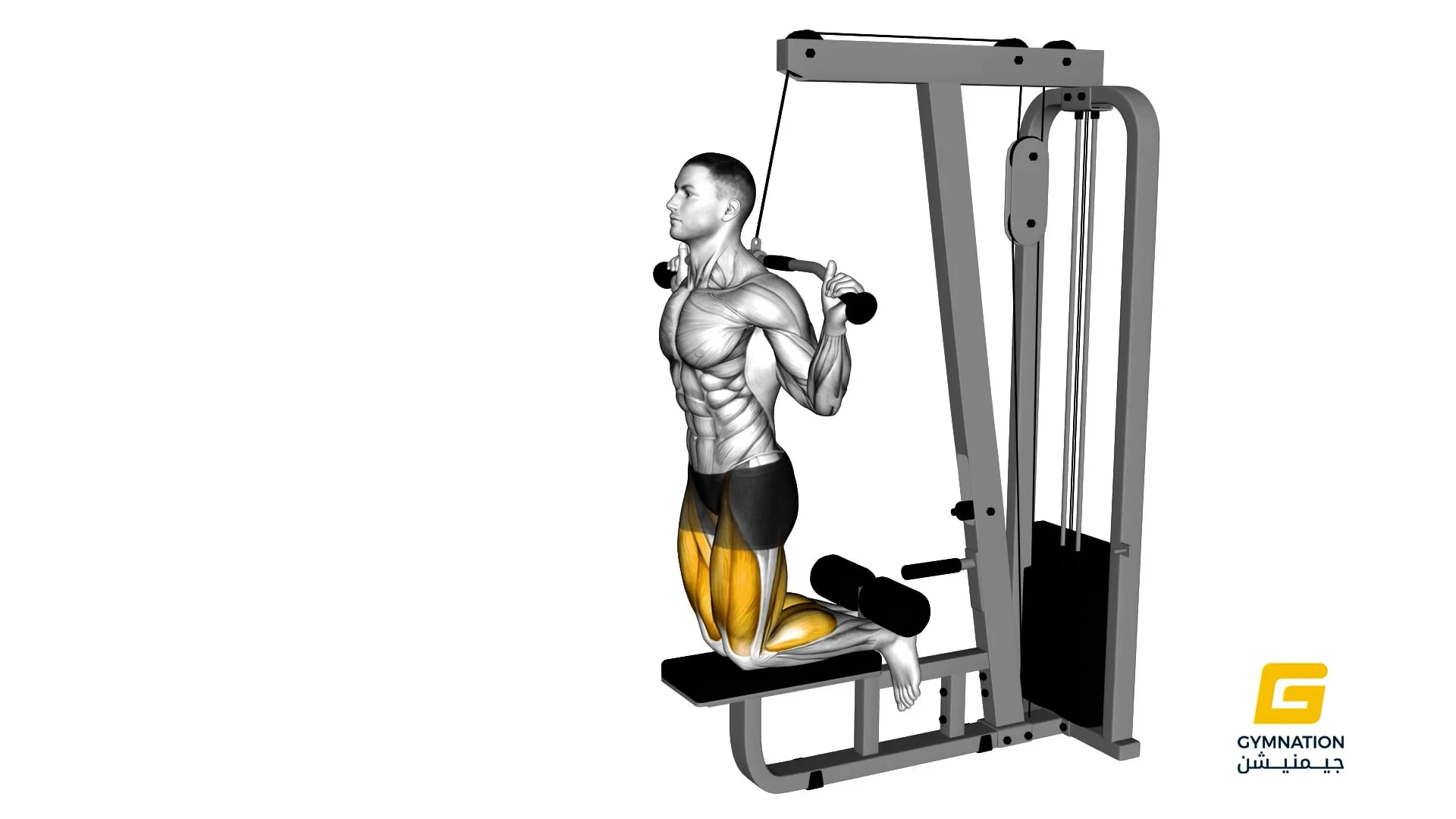 Cable Assisted Inverse Leg Curl Thumb