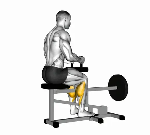 Lever Seated Calf Raise (Plate Loaded) Thumb