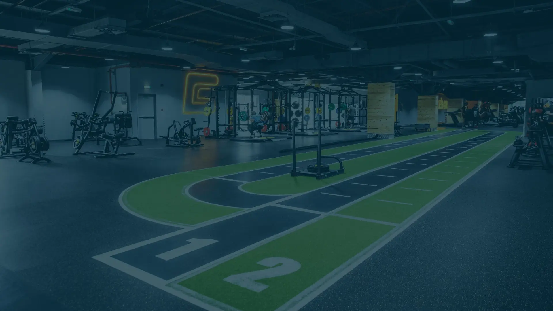 gym