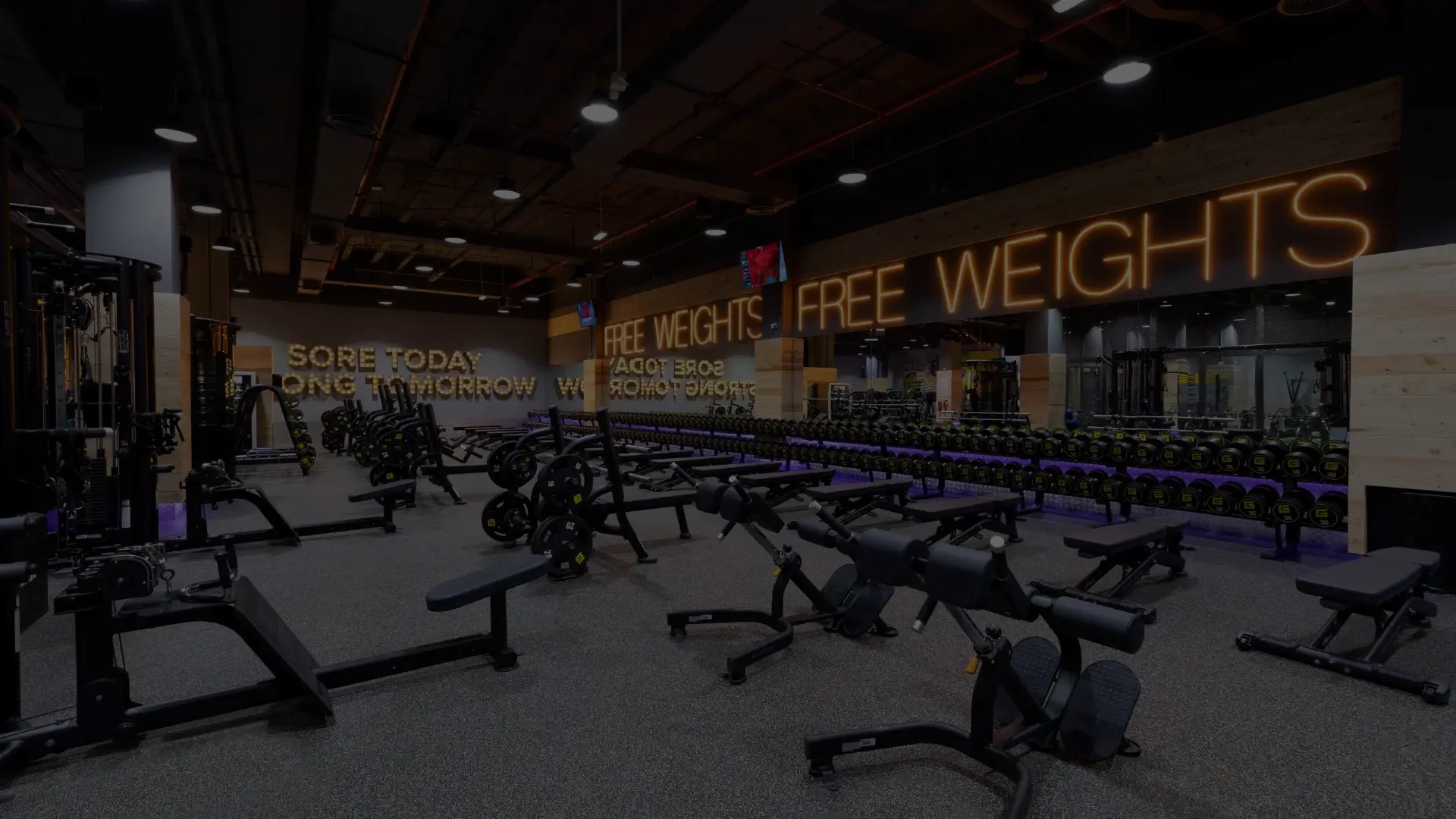 Gymnation Exercise