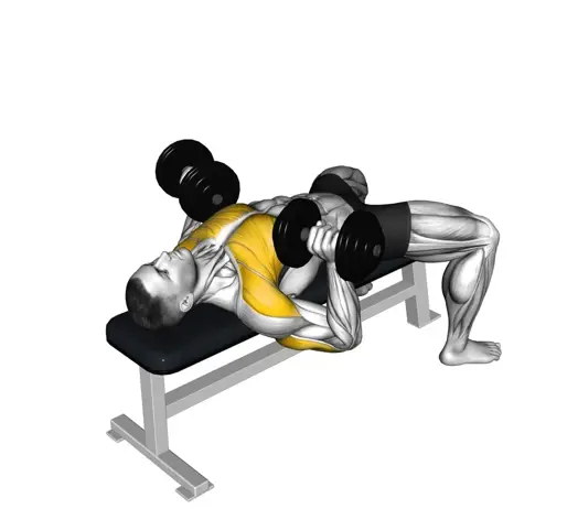 Dumbbell Bench Press Thumbnail