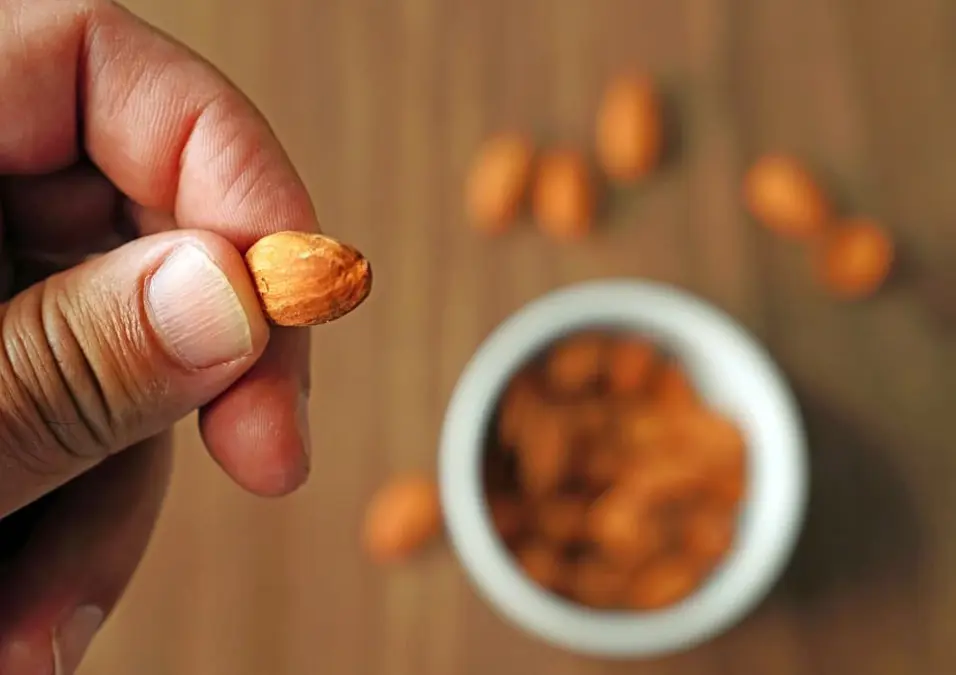 لقطة قريبة ليد رجل تمسك بحبة واحدة من اللوز الكامل بين أصابعه، مع وجود وعاء من اللوز غير واضح في الخلفية، مما يتساءل عن فوائد اللوز للرجال وهل يدعم الصحة الجنسية والخصوبة فعلاً.