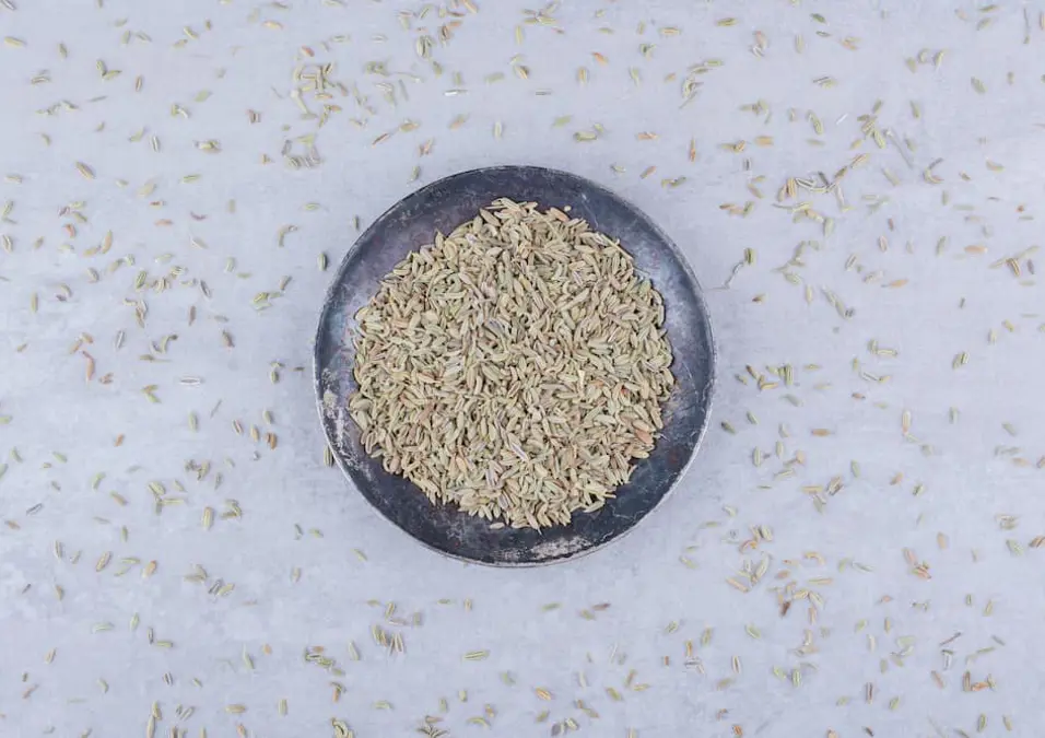 لقطة علوية لبذور الشمر على طبق معدني داكن، توحي بفوائد الشمر المغلي للقولون.