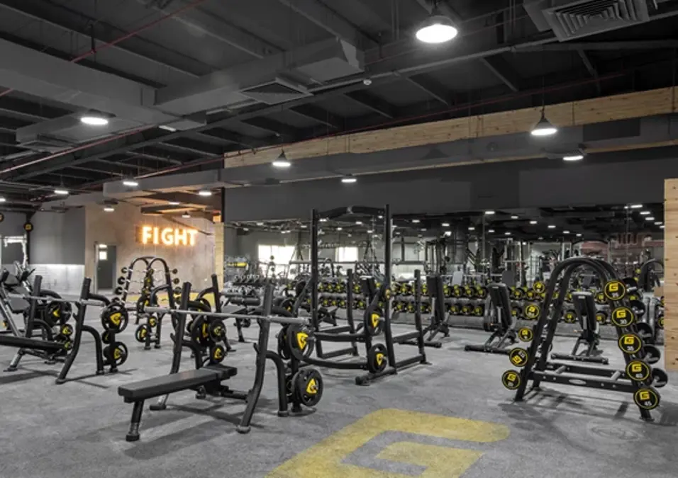 Free Weights Area (1)
