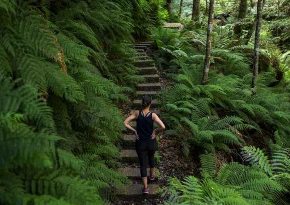 girl in nature