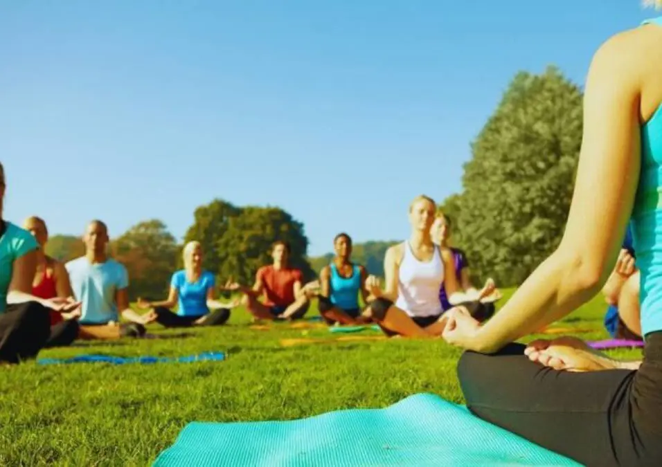 New Bee Inspired Wellness Festival