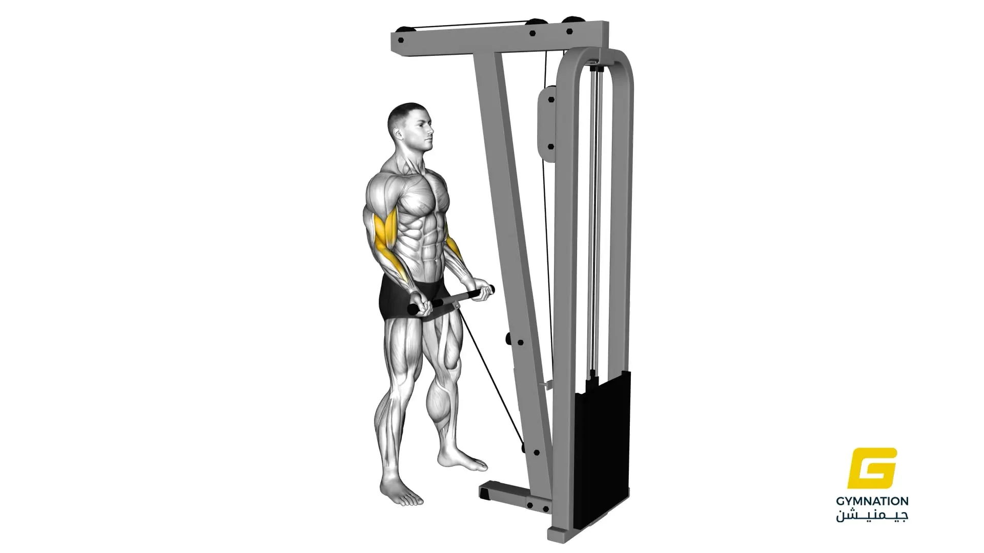Cable Curl Thumb