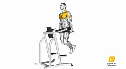 Chest Dip Thumbnail