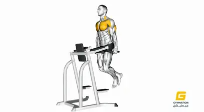 Chest Dip Thumbnail