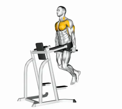 Chest Dip Thumbnail