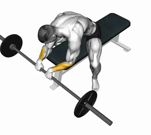 Barbell Reverse Wrist Curl Thumb