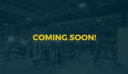 EN coming soon