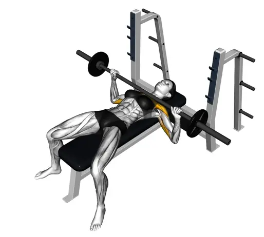 Barbell Bench Press For Ladies Thumbnail