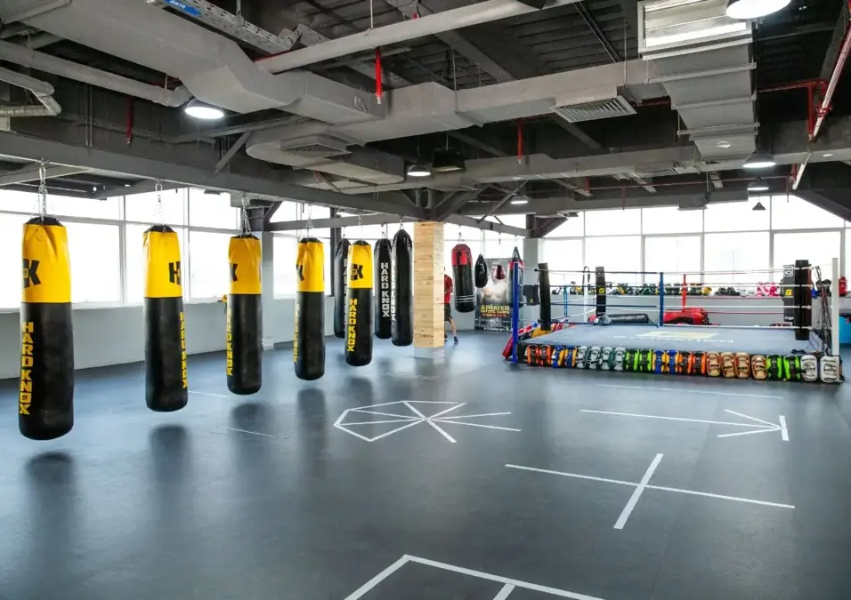 Aq Boxing Small