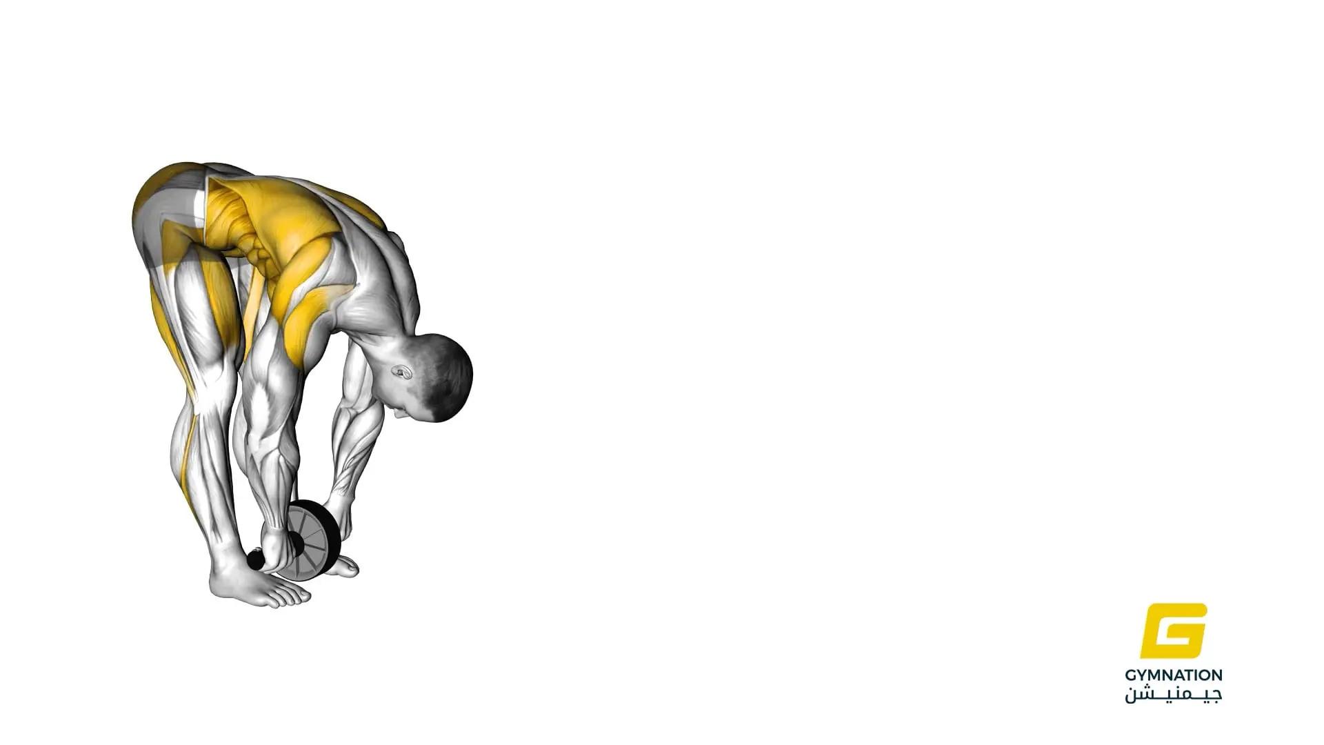 Standing Wheel Rollout Thumb (3)