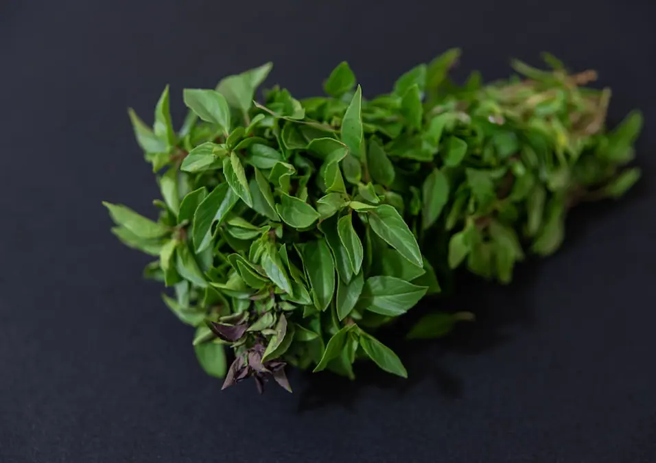 باقة طازجة من أوراق البردقوش على سطح داكن، تمثل تجربة شخصية مع البردقوش للتنحيف.