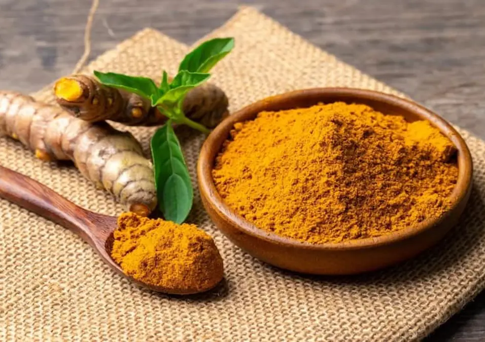 وعاء وملعقة من الخشب مملوءان بمسحوق الكركم النابض بالحياة بجانب جذور الكركم الطازجة وأوراق خضراء على سطح من الخيش، مما يوحي بفوائده الصحية المتعددة.