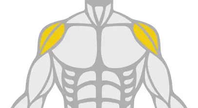 Exercise Library Shoulders