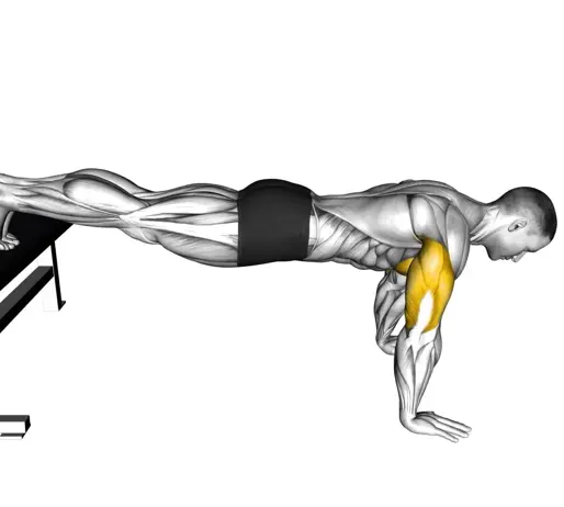 Decline Push Up Thumb