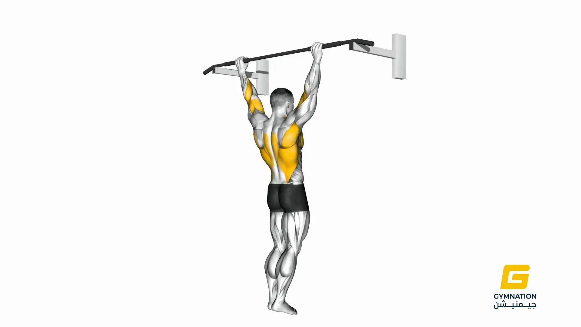 Wide Grip Pull Up Thumb