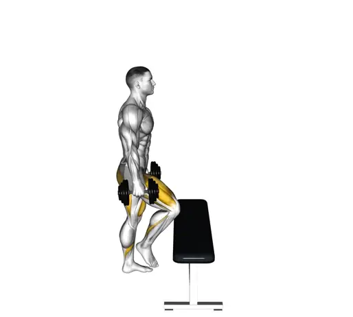 Dumbbell Step Up Thumb