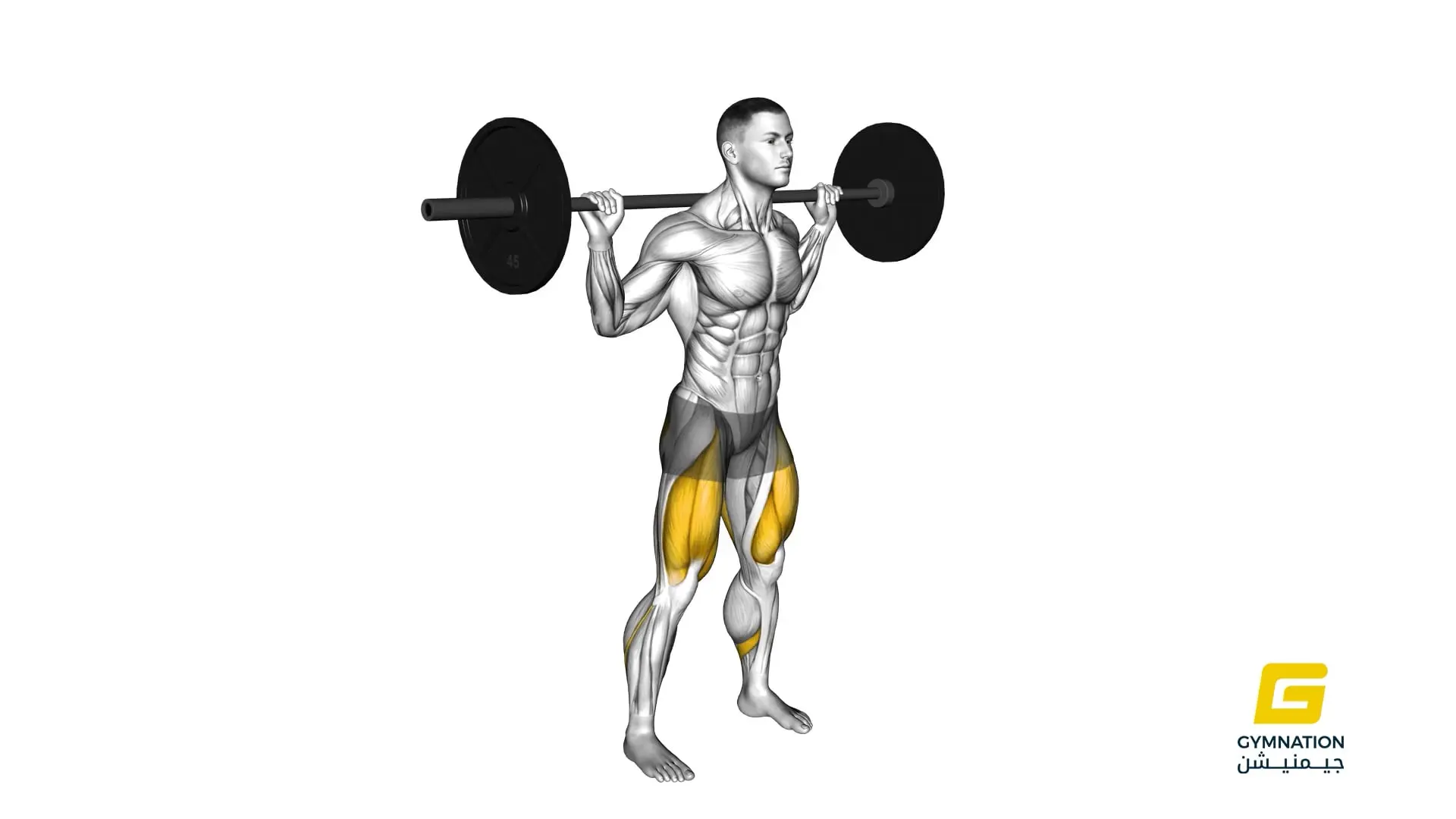 Barbell High Bar Squat Thumb