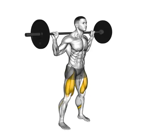 Barbell High Bar Squat Thumb