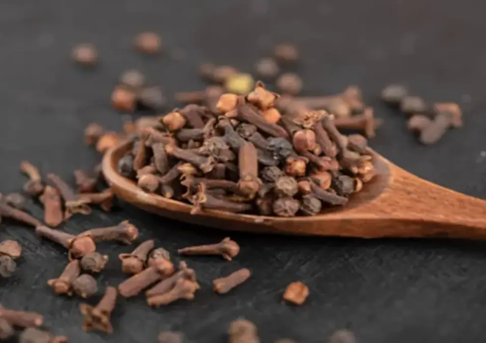 ملعقة خشبية تفيض بالقرنفل المجفف على خلفية داكنة، مما يوحي بفوائد وأضرار تناول القرنفل على الريق.