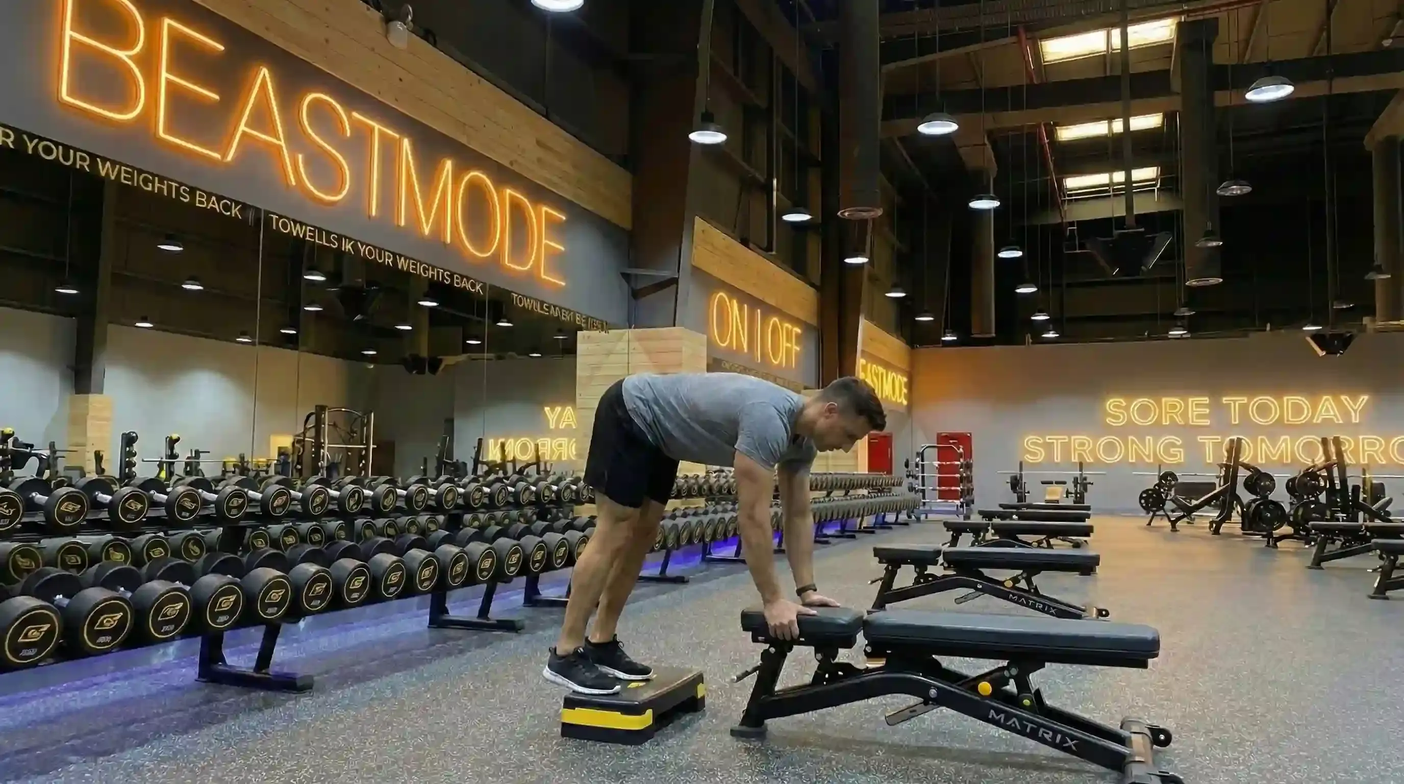 Donkey Calf Raise