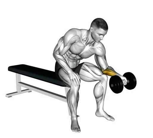 Dumbbell One Arm Wrist Curl