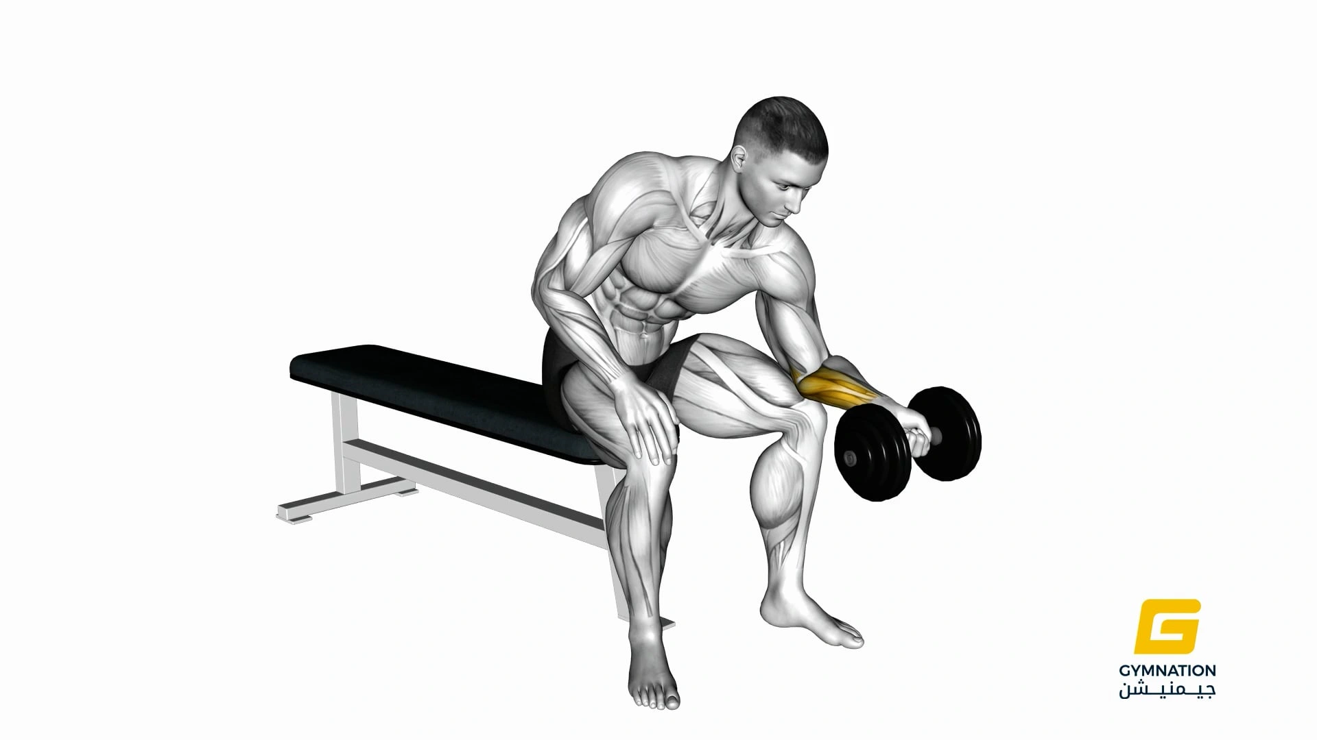 Dumbbell One Arm Wrist Curl