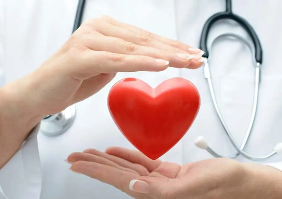 نشاط العطلات وتحسين صحة القلب