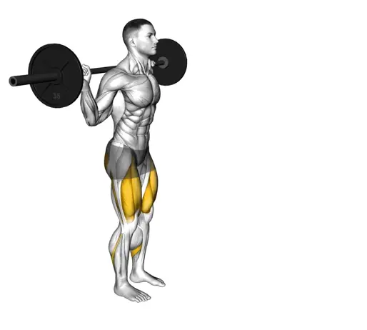 Barbell Lunge Thumb