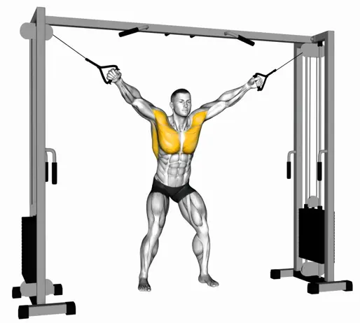 Cable Standing Fly Thumbnail