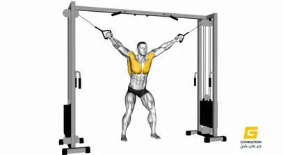 Cable Standing Fly Thumbnail