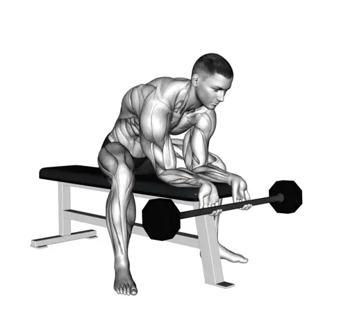 Barbell Finger Curls Thumb