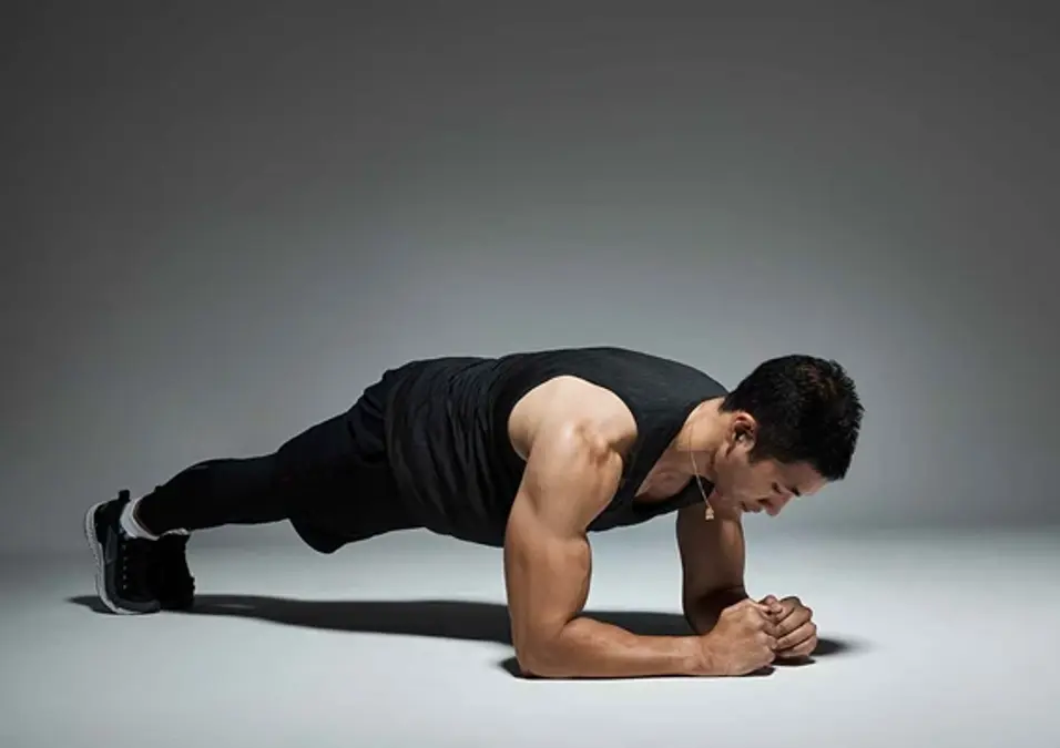Plank2