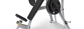 Pl Shoulder Press