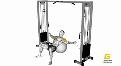 Cable Incline Fly (On Stability Ball) Thumb