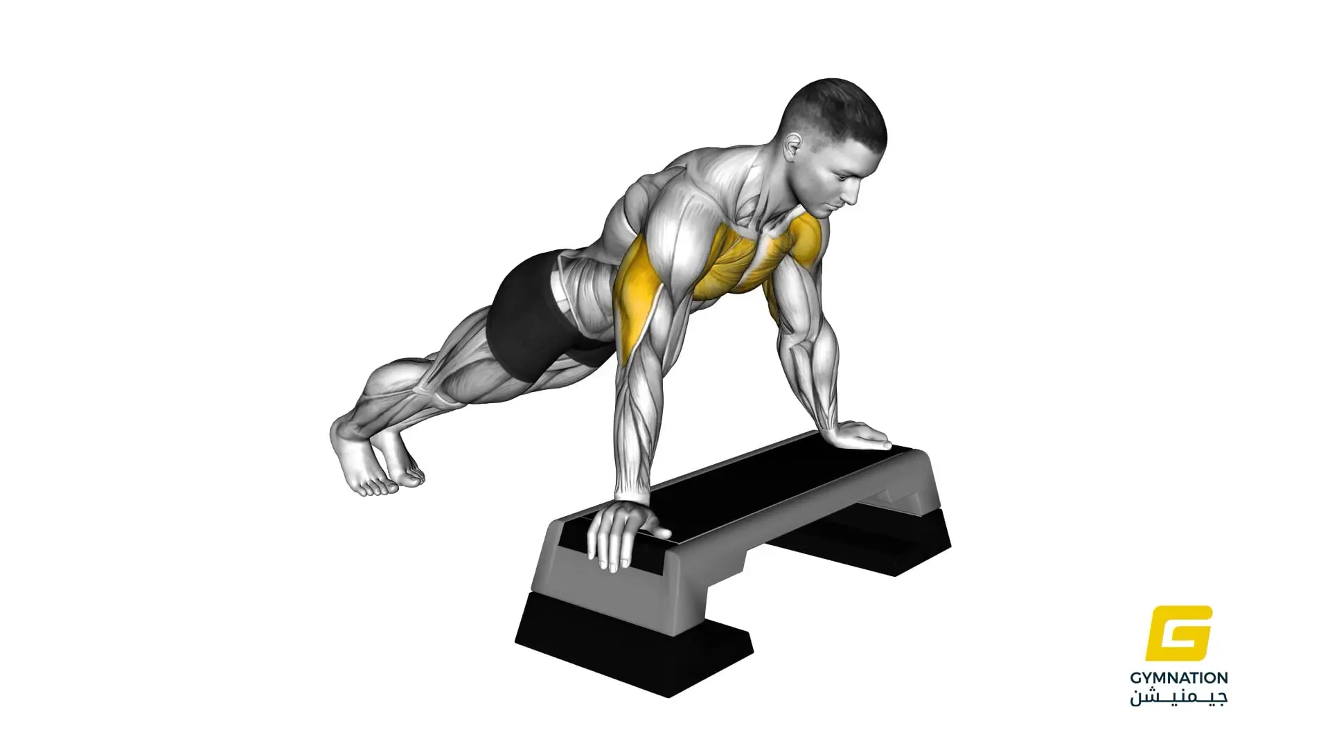 Incline Push Up Thumb