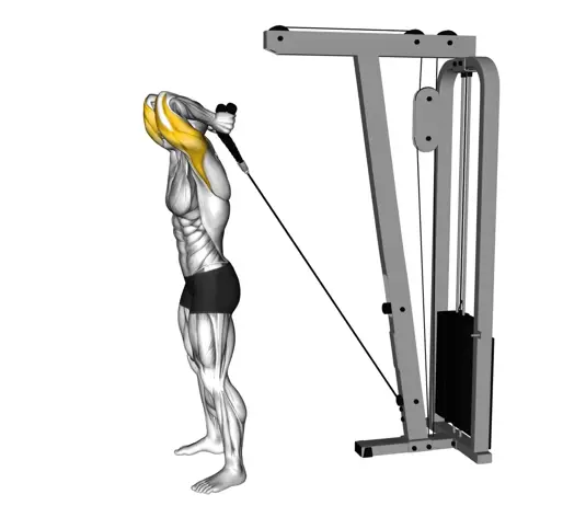 Cable Overhead Triceps Extension (Rope Attachment) Thumb