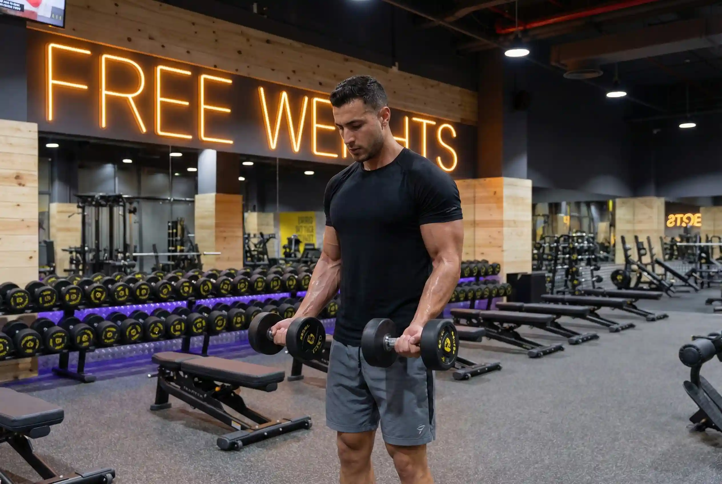 Dumbbell Zottman Curl