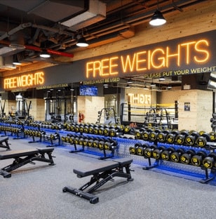 Gymnation Weights