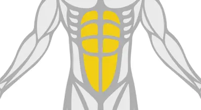 Exercise Library Abs