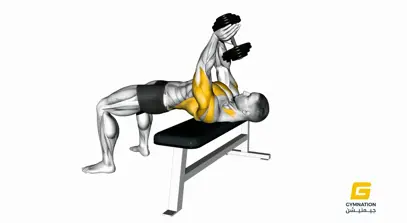 Dumbbell Pullover Thumb