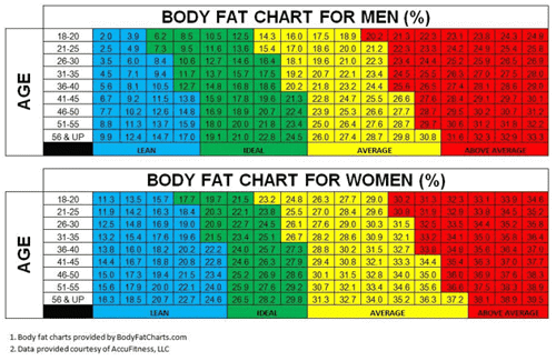 Body Fat Calculator. What's your body fat percentage?