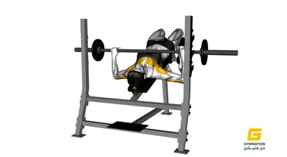 Barbell Decline Bench Press For Ladies Thumb