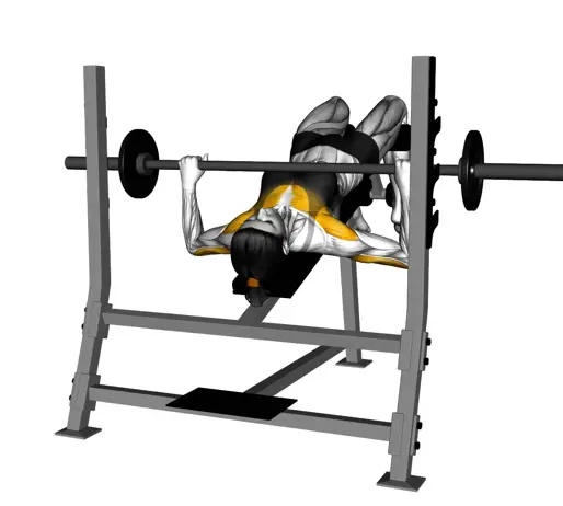 Barbell Decline Bench Press For Ladies Thumb
