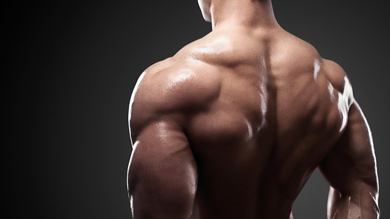 Muscular hypertrophy: Definition, causes, and how to achieve it