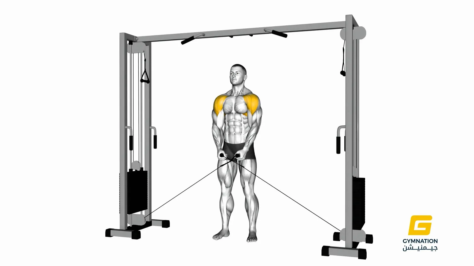 Cable Lateral Raise Thumb